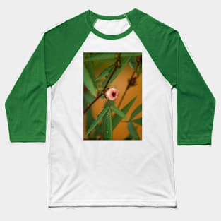 blla bloom in fruiting Baseball T-Shirt